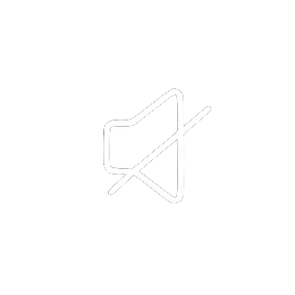 mute icon